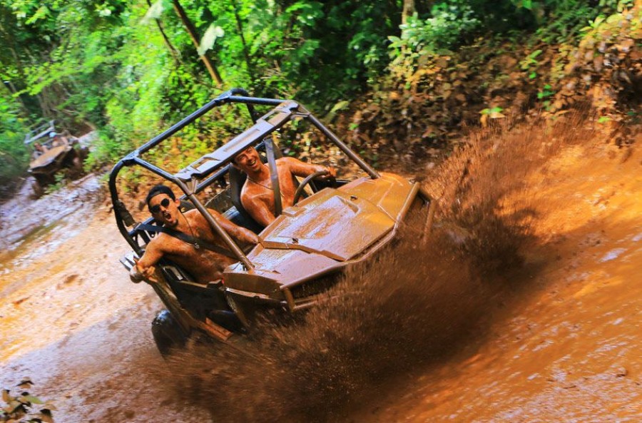 Selvatica Gimme All