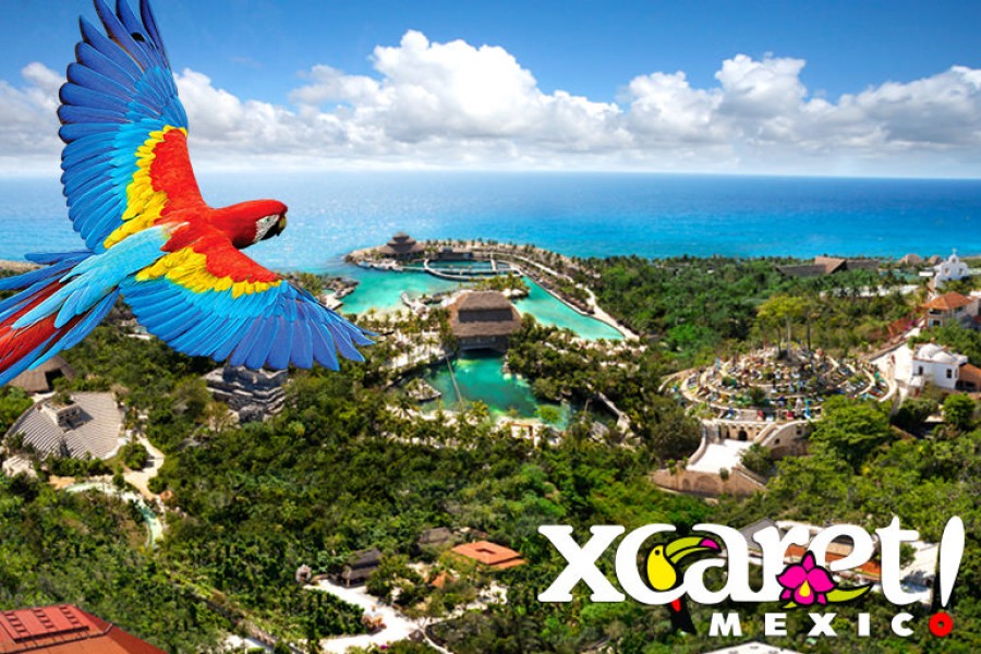 Fam Trip Xcaret Plus + Private Transportation