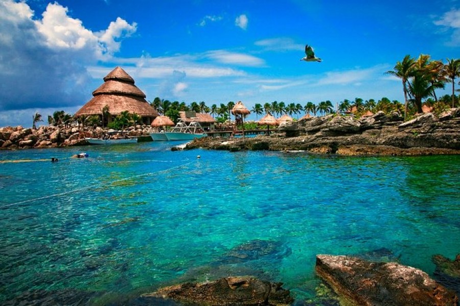 Fam Trip Xcaret Plus + Private Transportation
